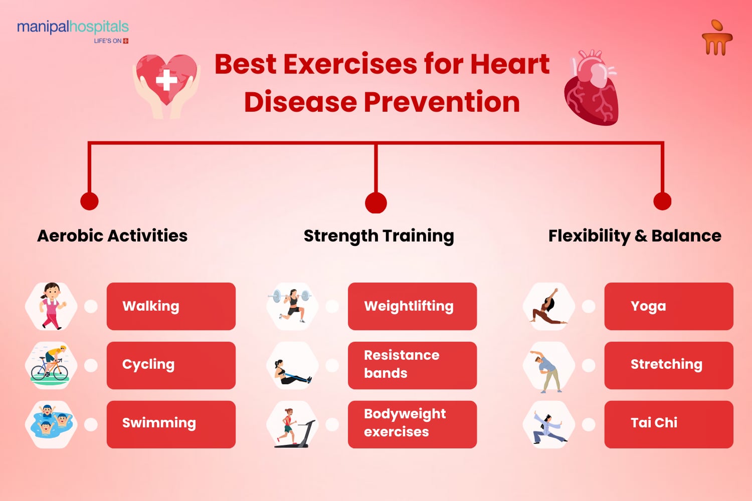 Best exercises for heart disease prevention include walking, cycling, swimming, weightlifting, resistance bands, bodyweight exercises, yoga, stretching, and Tai Chi