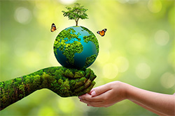 Environment
